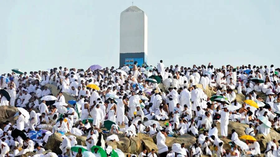 زيادة عدد رحلات حجاج السياحة وتوزيع لجان البعثة في مكة والمدينة زيادة عدد رحلات حجاج السياحة وتوزيع لجان البعثة في مكة والمدينة