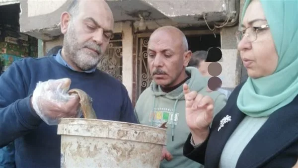 مصادرة 3 أطنان من الأسماك واللحوم غير المعروفة المصدر و520 محضرًا تموينيًا في المنوفية مصادرة 3 أطنان من الأسماك واللحوم غير المعروفة المصدر و520 محضرًا تموينيًا في المنوفية