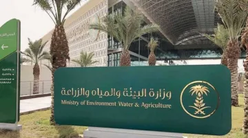 مصادرة كميات كبيرة من البطاطس التالفة في محافظة القريات
