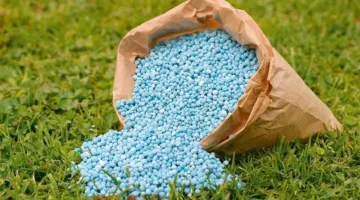 مصانع الأسمدة تبدأ استيراد الغاز بعد تقليص الإمدادات.