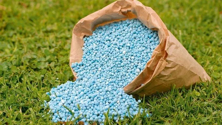 مصانع الأسمدة تبدأ استيراد الغاز بعد تقليص الإمدادات. مصانع الأسمدة تبدأ استيراد الغاز بعد تقليص الإمدادات.