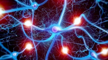“مصر المستقبل” تستعرض طرق استخدام الخلايا الجذعية في العلاج