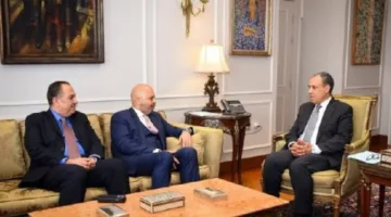 مصر تؤكد موقفها الداعي لإصلاح مجلس الأمن الدولي