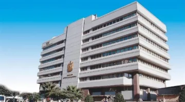 مصر تدعم اقتصاد المنصات الرقمية لتعزيز التحول الرقمي وتشجيع الابتكار وتوفير فرص العمل.