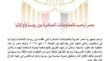 مصر تدعم الحوار المباشر بين روسيا وأوكرانيا في إسطنبول