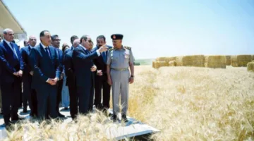مصر تـبـني المستقبل