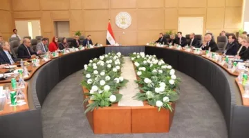 مصر والسويد تستعرضان سبل تعزيز التعاون في مجال الطاقة المتجددة وتوصيل الشبكات الكهربائية الأوروبية