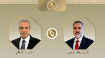 مصر وتركيا تعيدان تأكيد معارضتهما القوية لتهجير الفلسطينيين من أراضيهم
