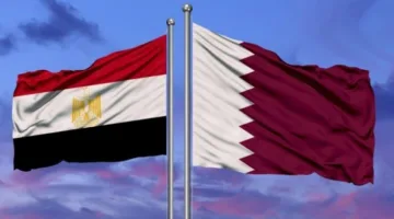 مصر وقطر: محاولات بث الفرقة بين الأشقاء لن تثنينا عن العمل من أجل وقف حرب غزة