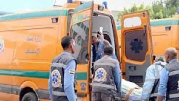 مصرع شخصين وإصابة 8 في تصادم سيارتين على طريق الروبيكي ببدر