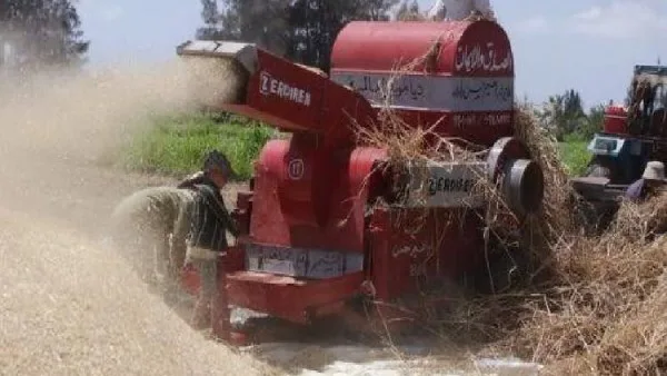 مصرع مزارع سقط في ماكينة الدراس بالسنطة
