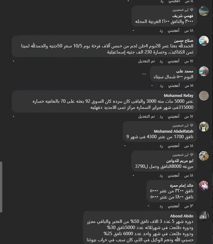 معدل الوفيات يتجاوز 60%.. «الجمهور» يحصل على مقاطع فيديو توضح انتشار الفيروسات في مزارع الدواجن معدل الوفيات يتجاوز 60%.. «الجمهور» يحصل على مقاطع فيديو توضح انتشار الفيروسات في مزارع الدواجن
