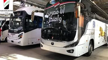 معلومات الوزراء: استئناف “النصر للسيارات” إنتاج الحافلات المحلية.