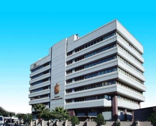 معلومات الوزراء يرصد طفرة في القطاع الزراعي وجهود تحقيق الأمن الغذائي