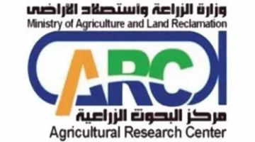 معهد أبحاث الهندسة الزراعية يعزز استخدام التقنيات الحديثة في الزراعة الآلية للأرز