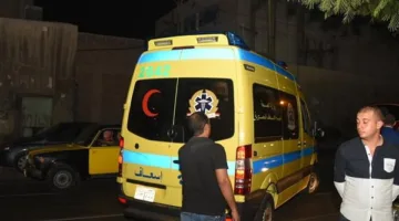 مقتل سيدة منزلية بعد سقوط نخلة عليها في القليوبية