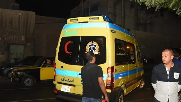 مقتل سيدة منزلية بعد سقوط نخلة عليها في القليوبية مقتل سيدة منزلية بعد سقوط نخلة عليها في القليوبية