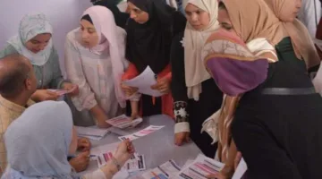 ملتقى التوظيف في القليوبية 2025: فرص عمل متنوعة لدى أهم شركات القطاع الخاص