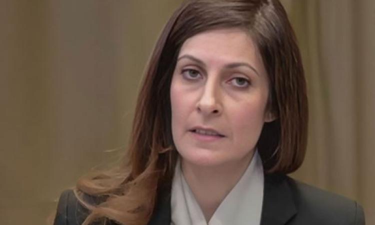 ممثلة مصر أمام محكمة العدل الدولية: مصر ثابتة في دعم القضية الفلسطينية