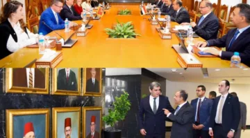 وزير الخارجية يعرب عن تقدير مصر لدعم الجبل الأسود لترشيح العناني لمنصب مدير عام اليونسكو