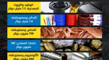 من الطاقة إلى المعادن: اكتشف أبرز واردات مصر من الدول العربية | إنفوجراف