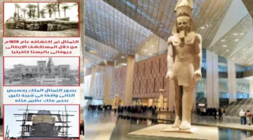 من حالة الجمود إلى ساحة المنافسة