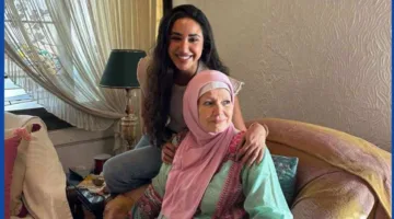 من عيادة الكلاب إلى مبادرة أشرف زكي: التفاصيل الكاملة لنزاع آية سماحة ومشيرة إسماعيل