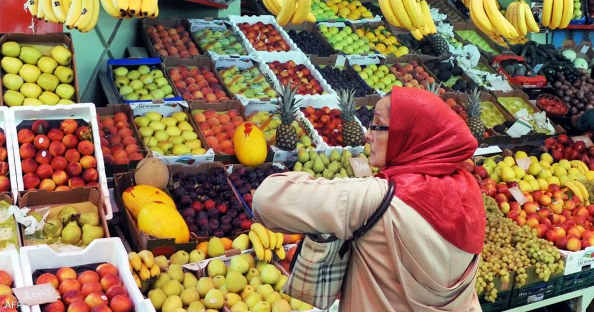 مندوبية التخطيط تبدأ البحث الوطني حول العائلة المغربية لتجميع معطيات ديموغرافية واجتماعية