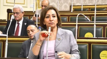 مها عبدالناصر: الوضع السياسي يستدعي إعادة تقييم أساسية لنظام الانتخابات (فيديو)