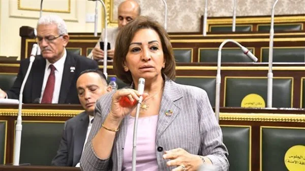 مها عبدالناصر: الوضع السياسي يستدعي إعادة تقييم أساسية لنظام الانتخابات (فيديو) مها عبدالناصر: الوضع السياسي يستدعي إعادة تقييم أساسية لنظام الانتخابات (فيديو)