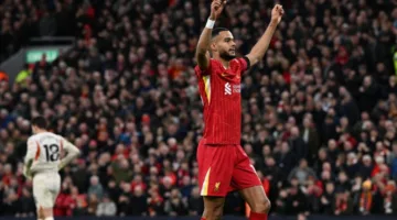 مهاجم ليفربول في دائرة اهتمام بايرن ميونخ