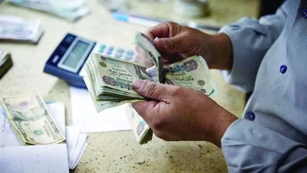 موعد صرف معاش «تكافل وكرامة» لشهر مايو 2025 (خطوات الاستعلام)