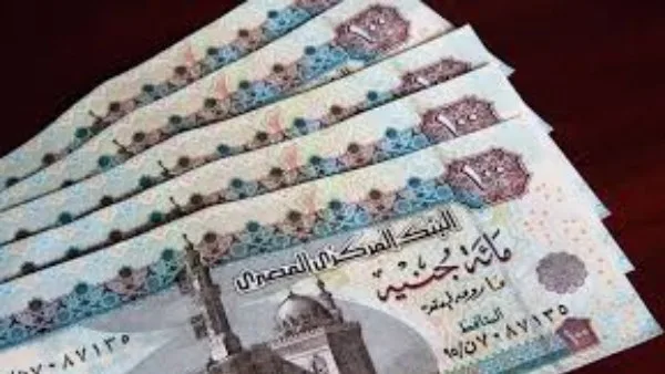 موعد صرف منحة العمالة غير المنتظمة 2025