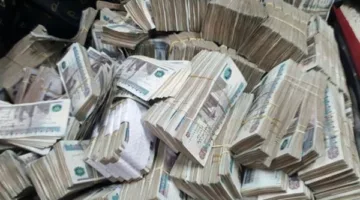“مينا فارم” تقترح صرف 2.5 جنيه لكل سهم