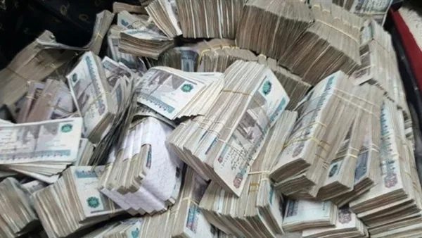 “مينا فارم” تقترح صرف 2.5 جنيه لكل سهم “مينا فارم” تقترح صرف 2.5 جنيه لكل سهم