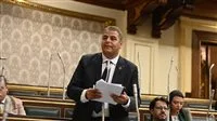 نائب التنسيقية يعلن دعمه لمشروع قانون العلاوة: القيادة السياسية تدعم العدالة