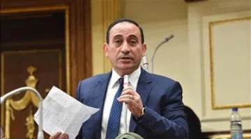 نائب برلماني: توجيهات الرئيس للحكومة أساسية لتعزيز الزراعة وتحقيق الاكتفاء الذاتي