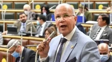 نائب برلماني يطالب بتوظيف العمالة المؤقتة بشكل دائم ومنح معاش للفلاحين
