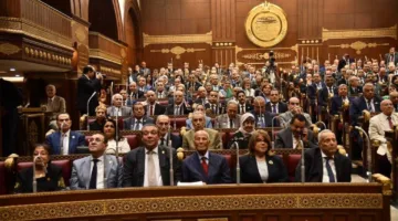 نائب في مجلس الشيوخ: تعديل قانون الانتخابات يعزز التعددية الحزبية بشكل فعال