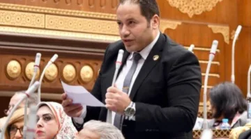نائب في مجلس الشيوخ: تعديل قانون الانتخابات يعزز العدالة في التمثيل ويزيد من ثقة المواطنين