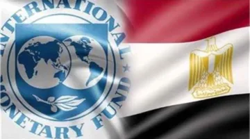 نائب مدير صندوق النقد الدولي: الاقتصاد المصري أظهر قدرة فائقة على التحمل أمام التحديات