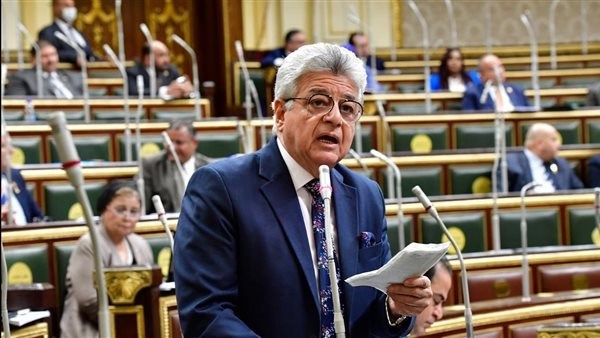 نائب يطالب بتحديث البيانات الخاصة بالإيجار القديم بتحديد حجم المشكلة