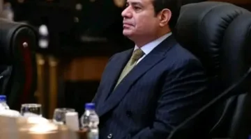 حاملة هموم الجبال.. برلمانية: الرئيس السيسي يتبنى موقفًا وطنيًا مشرفًا في تعزيز القضايا العربية.