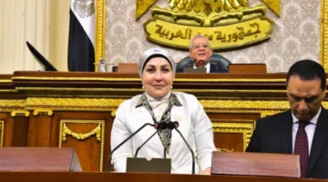 نائبة برلمانية: مصر قادرة على أن تصبح مركزًا صناعيًا رئيسيًا بفضل استقرارها