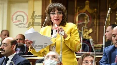 نائبة تطالب بإصدار تراخيص للصيادلة الحكوميين لإدارة الصيدليات.. ورئيس مجلس النواب يعلق على الموضوع