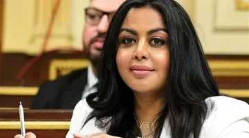 نائبة حماة الوطن: العلاقات بين مصر وأفريقيا شهدت نشاطًا ملحوظًا خلال فترة السيسي