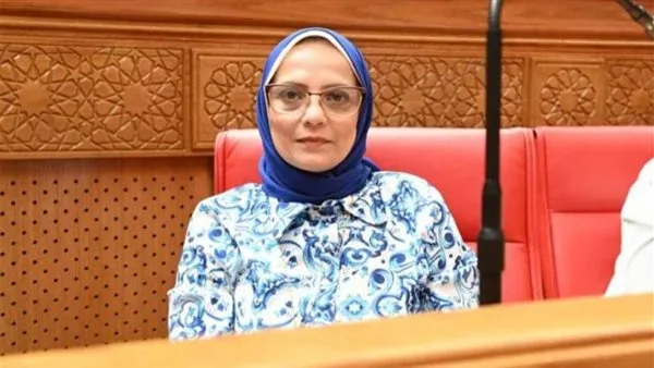 نائبة: خطوات الرئيس السيسي في أزمة البنزين المزوّر تعد ضربة قوية للفساد