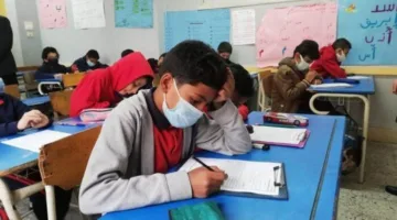 نتائج الصف الرابع الابتدائي: توقيت الإعلان ورابط الاستعلام المباشر