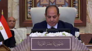 نجلاء العسيلي: خطاب الرئيس السيسي في القمة العربية يمثل نقطة تحول في التعاون العربي