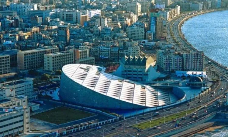 ندوة توضيحية عن “جائزة الكتاب العربي” في مكتبة الإسكندرية ندوة توضيحية عن “جائزة الكتاب العربي” في مكتبة الإسكندرية